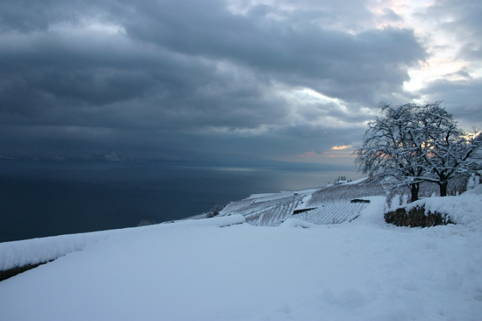 Neige sur la Riviera - 090